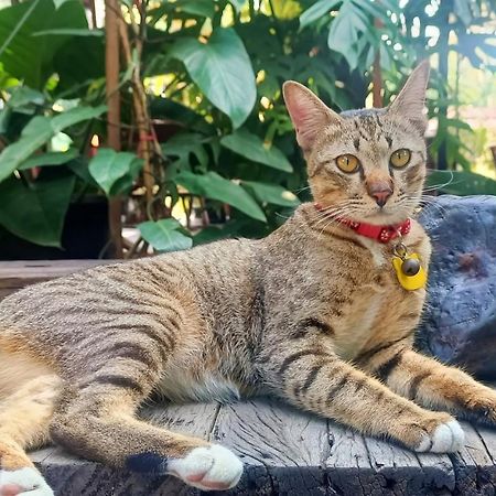 Baan Canalee Phra Nakhon Si Ayutthaya Esterno foto