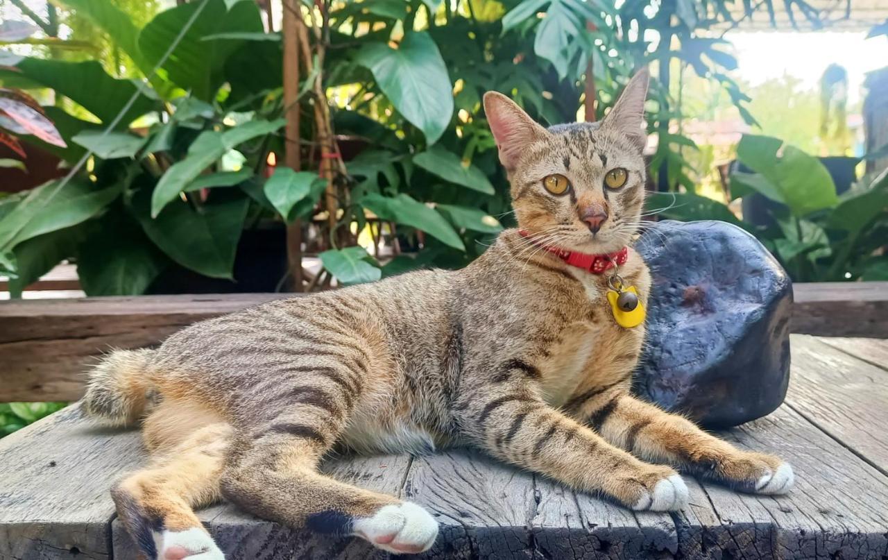 Baan Canalee Phra Nakhon Si Ayutthaya Esterno foto
